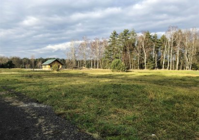 działka na sprzedaż - Tworóg