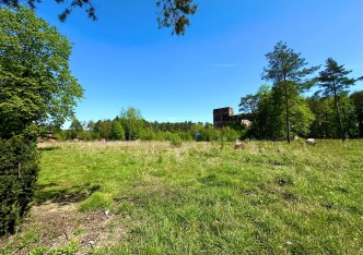 działka na sprzedaż - Tworóg, Boruszowice