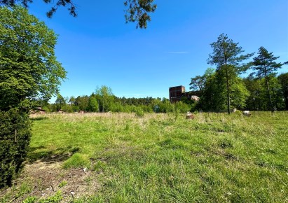 działka na sprzedaż - Tworóg, Boruszowice