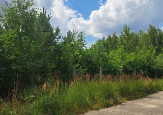 działka na sprzedaż - Tarnowskie Góry, Lasowice