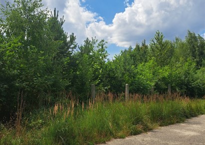 działka na sprzedaż - Tarnowskie Góry, Lasowice