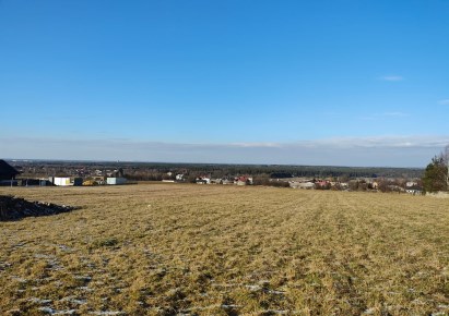 działka na sprzedaż - Mierzęcice, Sadowie