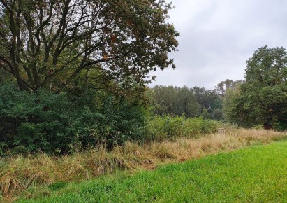 działka na sprzedaż - Tarnowskie Góry, Rybna