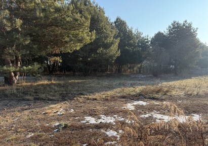 działka na sprzedaż - Tarnowskie Góry, Strzybnica