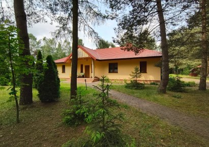 dom na sprzedaż - Koziegłowy, Rosochacz