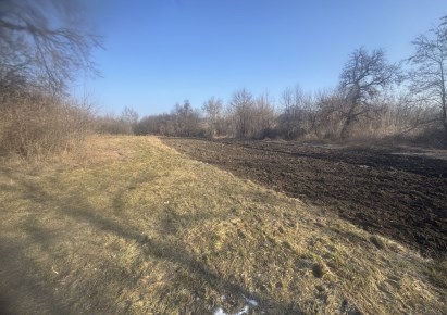 działka na sprzedaż - Czarnocin, Kolosy