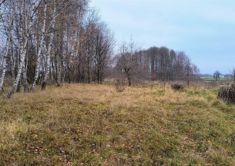 działka na sprzedaż - Ożarowice