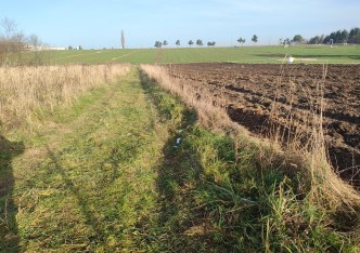 działka na sprzedaż - Tarnowskie Góry, Opatowice
