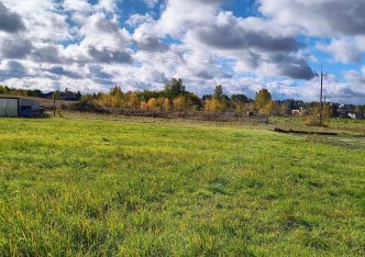 działka na sprzedaż - Ożarowice, Tąpkowice