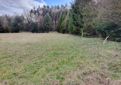 działka na sprzedaż - Tarnowskie Góry, Strzybnica