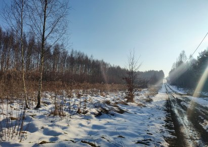 działka na sprzedaż - Koziegłowy (gw), Siedlec Duży