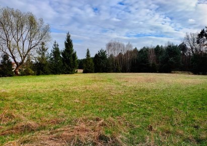 działka na sprzedaż - Tarnowskie Góry, Strzybnica