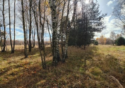 działka na sprzedaż - Koziegłowy, Rosochacz