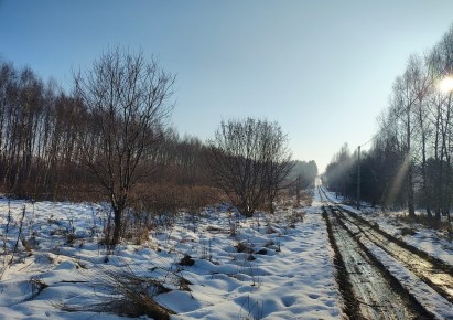 działka na sprzedaż - Koziegłowy (gw), Siedlec Duży