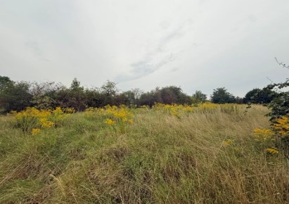 działka na sprzedaż - Świerklaniec, Nakło Śląskie