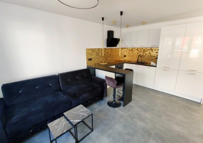 mieszkanie na wynajem - Tarnowskie Góry, Śródmieście