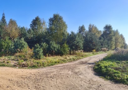 działka na sprzedaż - Mierzęcice, Nowa Wieś