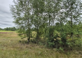 działka na sprzedaż - Koziegłowy, Rosochacz