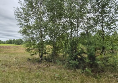 działka na sprzedaż - Koziegłowy, Rosochacz