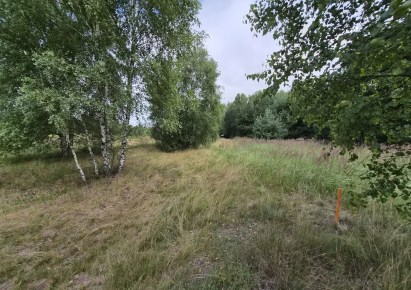 działka na sprzedaż - Koziegłowy, Rosochacz