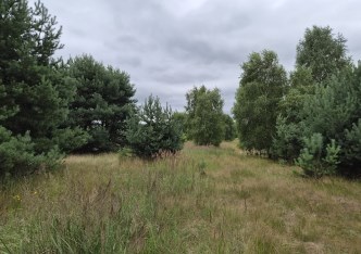 działka na sprzedaż - Koziegłowy, Rosochacz