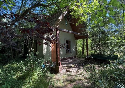 działka na sprzedaż - Tarnowskie Góry, Pniowiec