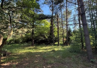 działka na sprzedaż - Tarnowskie Góry, Pniowiec