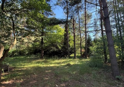 działka na sprzedaż - Tarnowskie Góry, Pniowiec