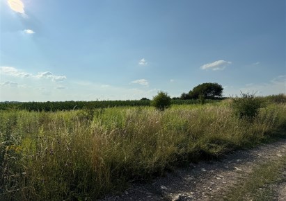 działka na sprzedaż - Mierzęcice