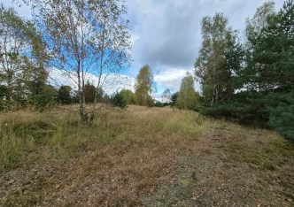 działka na sprzedaż - Koziegłowy, Rosochacz