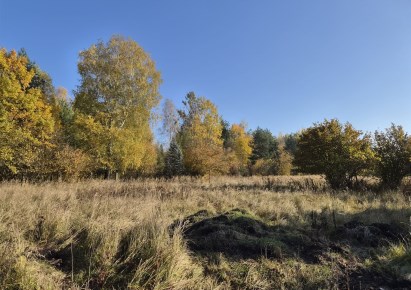 działka na sprzedaż - Kalety