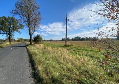 działka na sprzedaż - Tworóg, Połomia